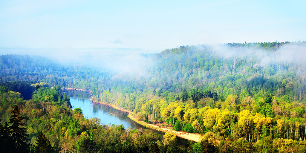 Milesight Digitalizes Forest Changes and Growth into Data in Latvia ...
