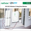 R313CC-Wireless 2-Gang Door/Window Sensor