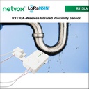 R313W-Wireless Water Leak Sensor