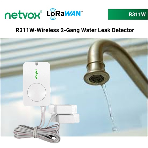 R311W -Wireless 2-Gang Water Leak Detector