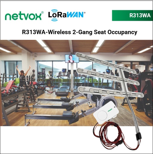 R313WA-Wireless 2-Gang Seat Occupancy Sensor
