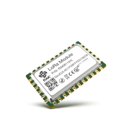 RAK811 LoRaWAN Module